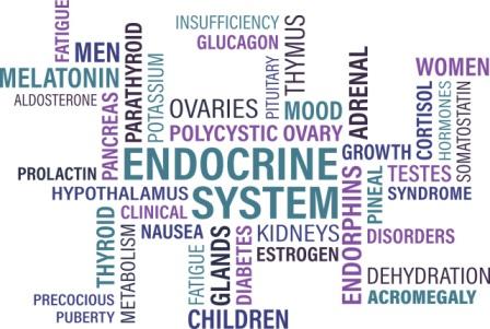 Endocrinology and metabolism