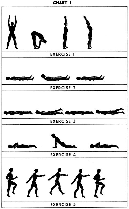 5BX exercises: Chart 1