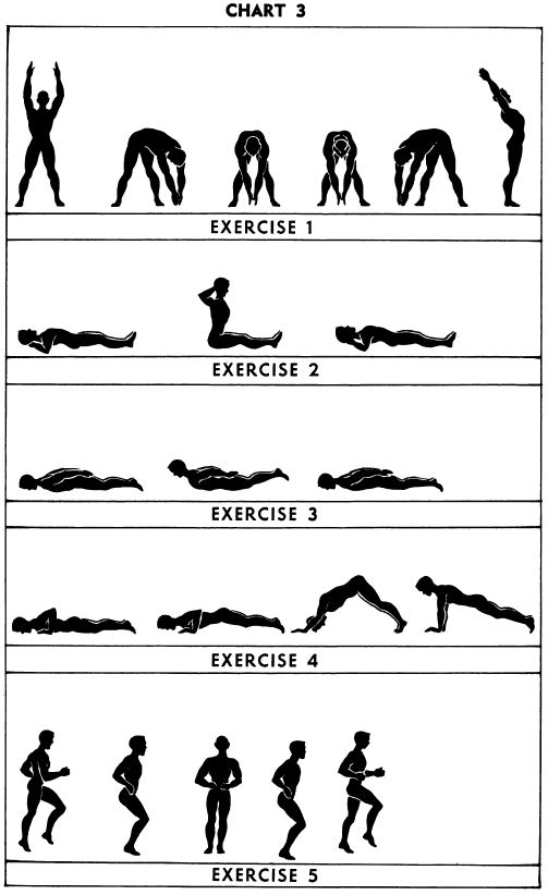 5BX exercises: Chart 3
