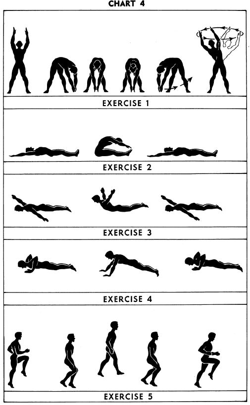 5BX exercises: Chart 4