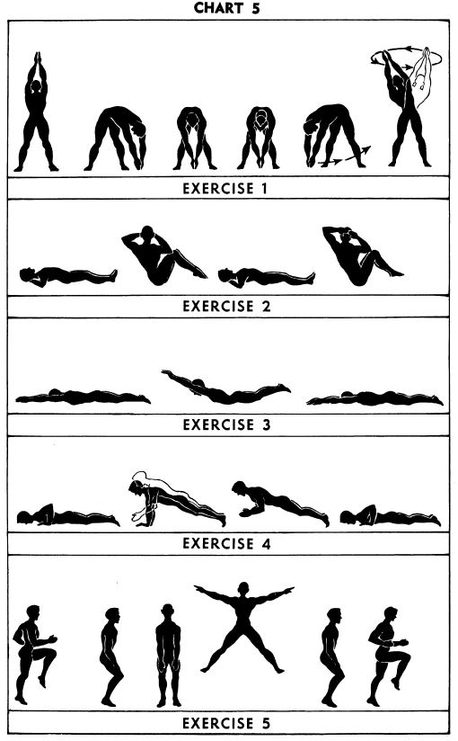 5 BX Exercises- Chart 5