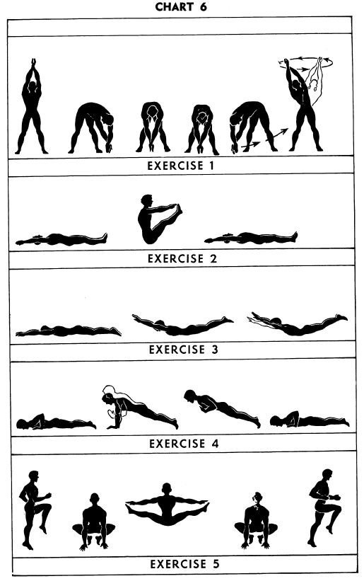 5BX Exercises: Chart 6